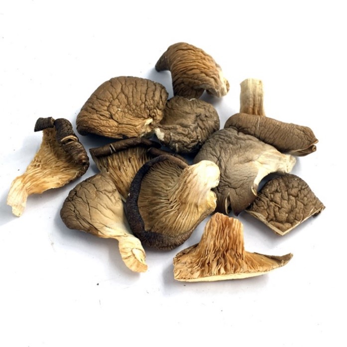 Dried oyster mushroom.jpg